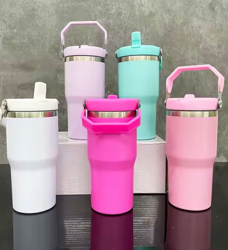 20oz Stainless Steel Flip Straw Water bottle